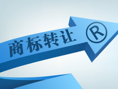 知識產(chǎn)權(quán)服務(wù) 企業(yè)創(chuàng)新發(fā)展的護航者