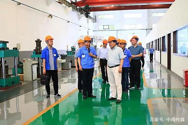 常州電站輔機股份承擔的江蘇省成果轉化專項資金項目驗收